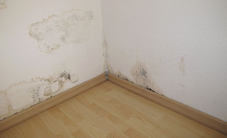 Ratgeber Hausbau Berlin - Baupfusch in allen Ecken